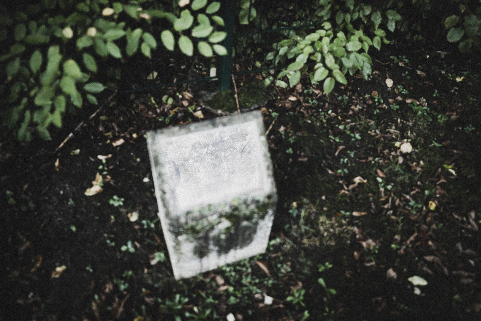 Niederaula, Jüdischer Friedhof
